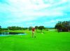 Barcelo Tat Beach Golf Resort Hotel